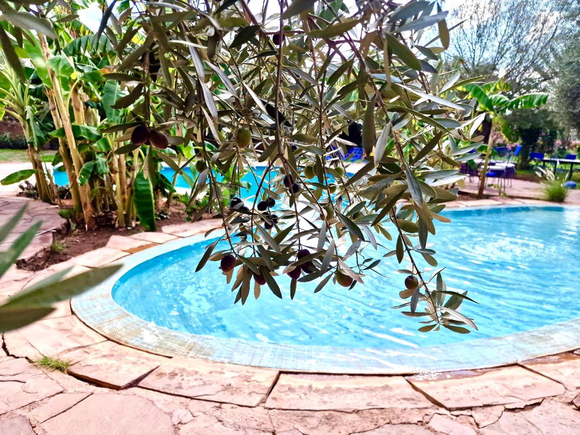 Le Domaine De Carole Marrakech Bed & Breakfast Douar Akkara Dış mekan fotoğraf